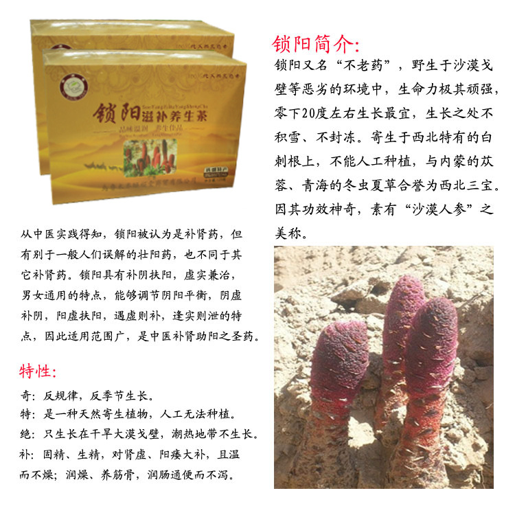 植物原药材-新疆优质野生红金锁阳肉苁蓉 阿拉