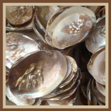 诸暨贝壳加工厂_诸暨贝壳加工厂批发_诸暨贝