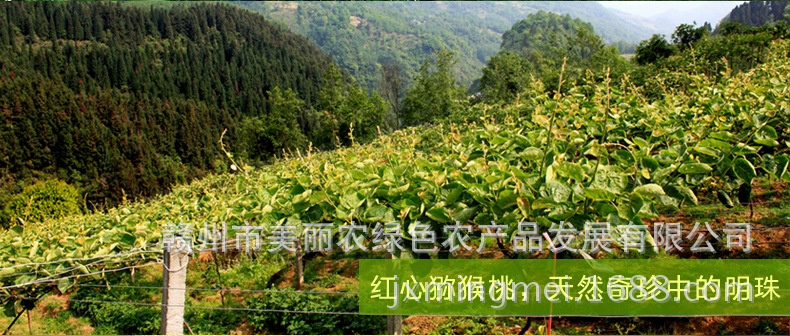前置2