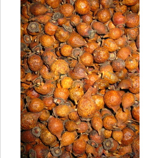 供应中药材 植物原材料 中药饮片 金英子 保质保