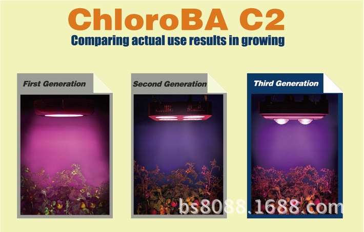 ChloroBA 02