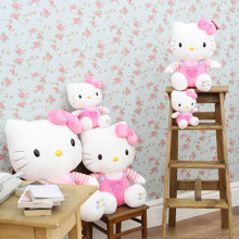 韩国正品 hello kitty 凯蒂猫kt毛绒玩具娃娃公仔玩偶 小熊衣服款