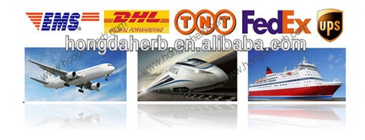 1P$(5WV01}L[C6T8(FLEY9D