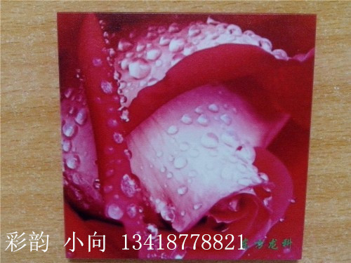 玻璃开关3_副本