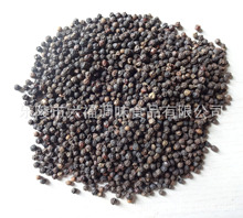 廠家供應 質量保證     黑胡椒