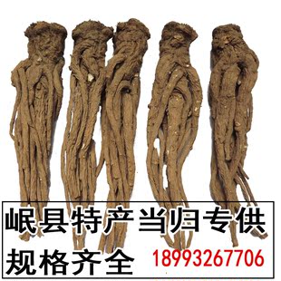 甘肃岷县特级当归，10-12个一斤，无硫中药材，5件以上包邮