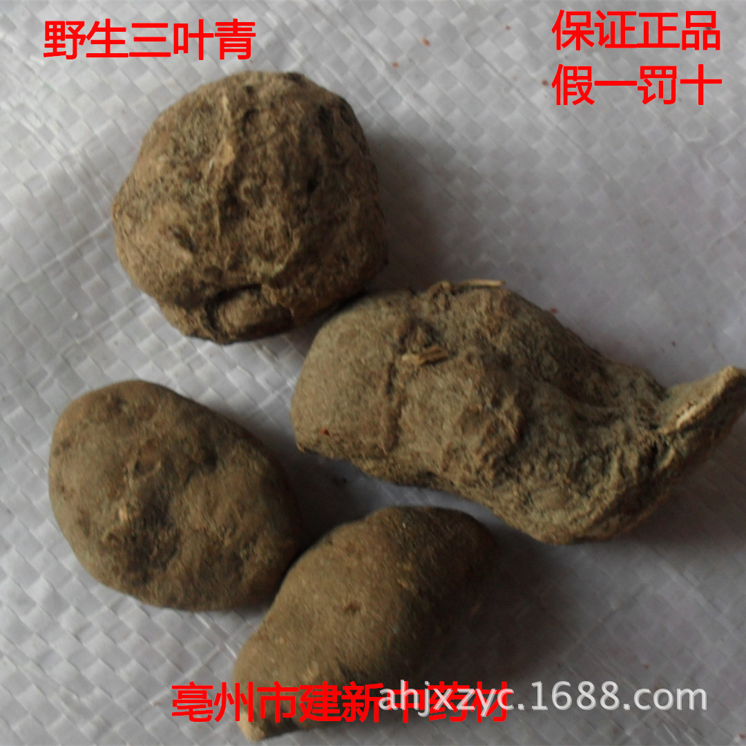 供应三叶青/纯野生三叶青片别名石猴子/保证正品/支持验货 实图