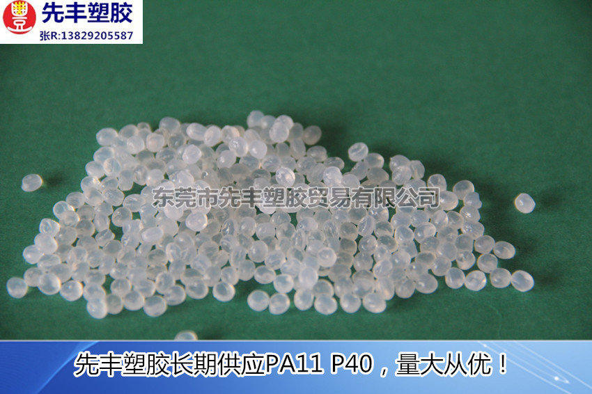 PA11 P40(3)_副本