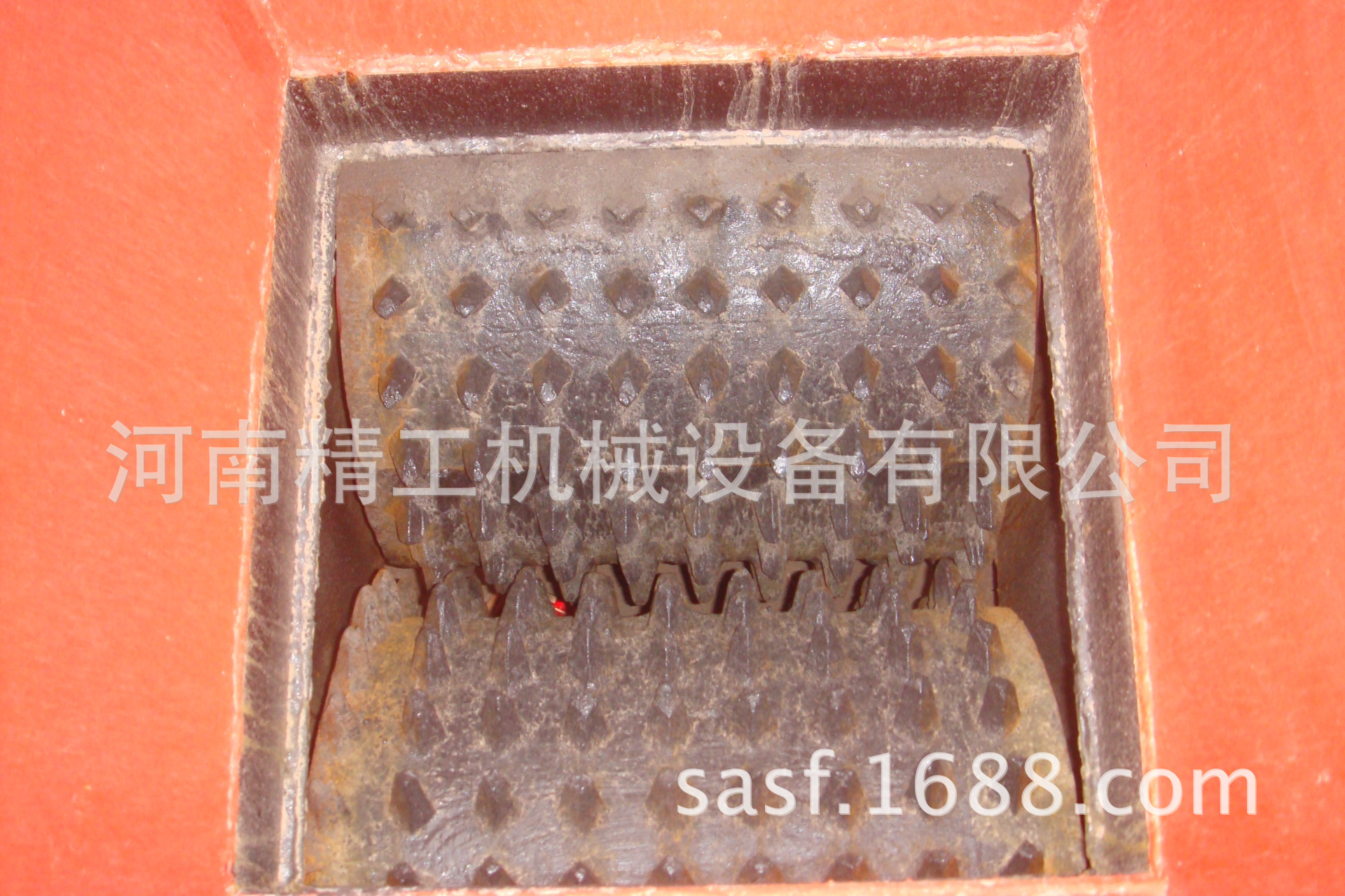 DSC05248