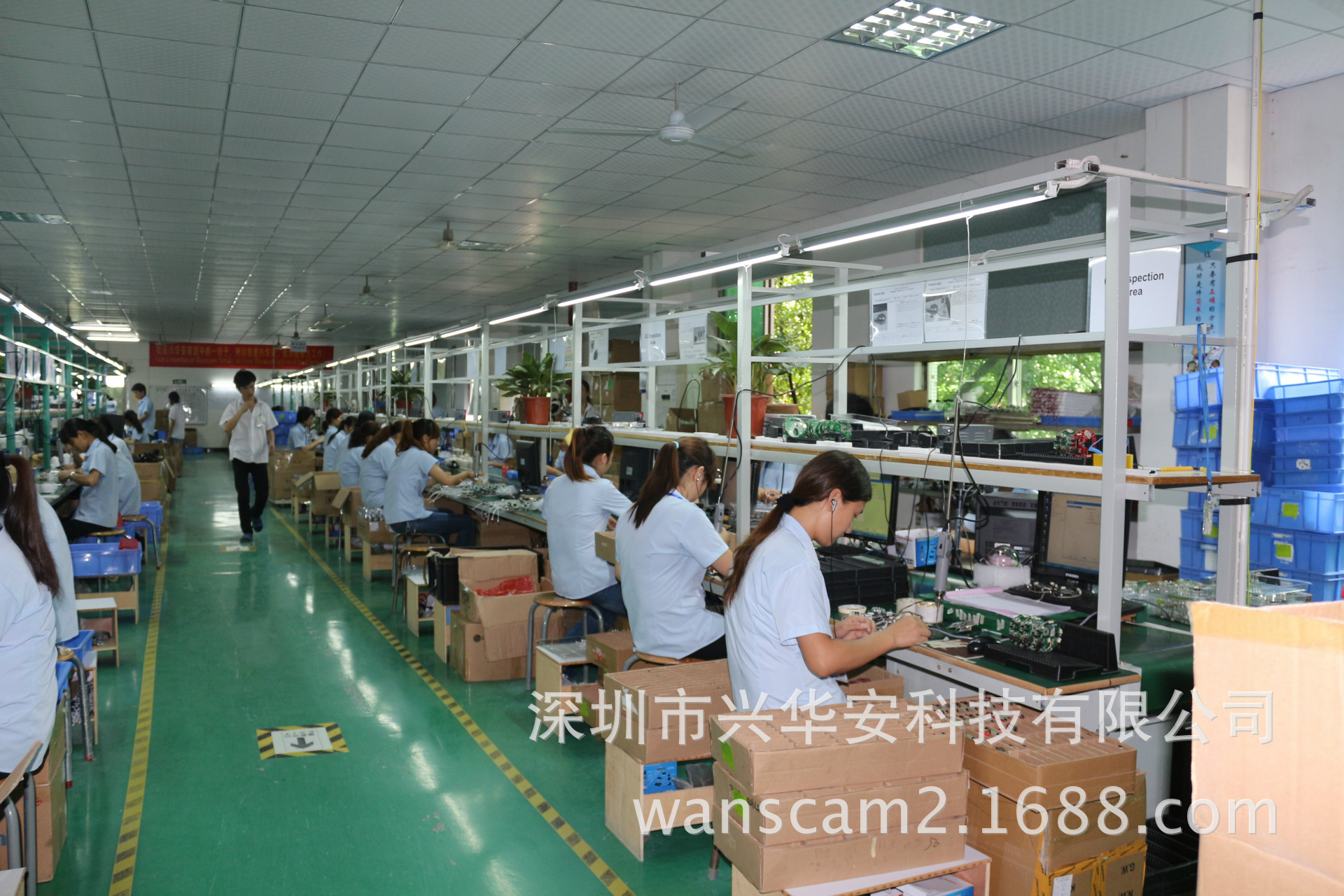 conew_img_3989