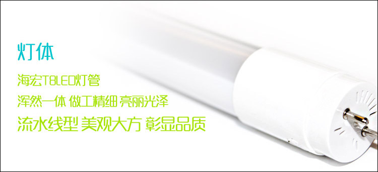 灯体
