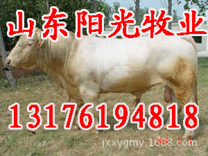 xll03