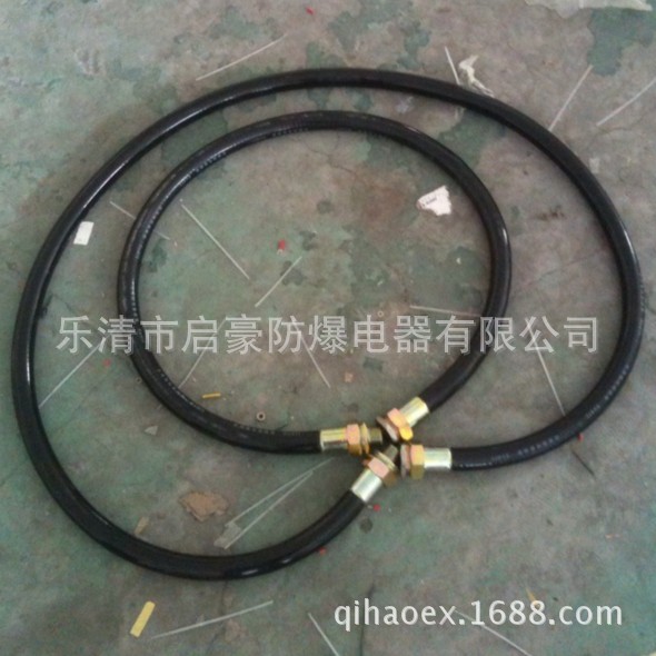 防爆挠性连接管0002