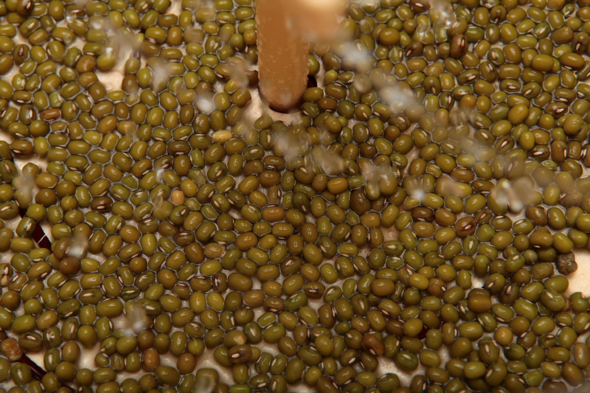 1753199908_116222220