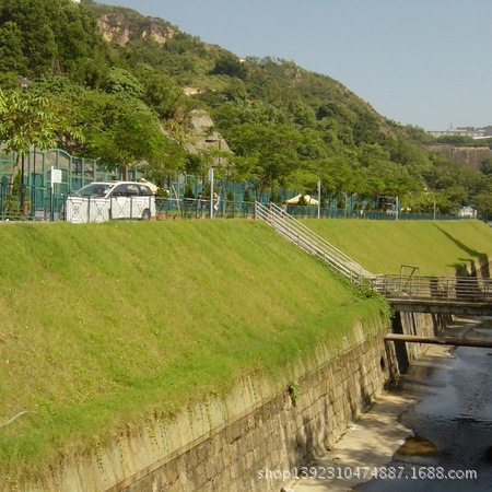 绿化毯应用实例