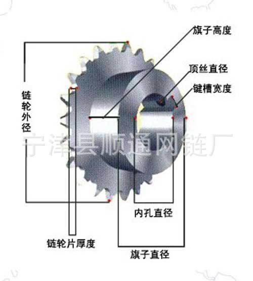 鏈輪剖析圖