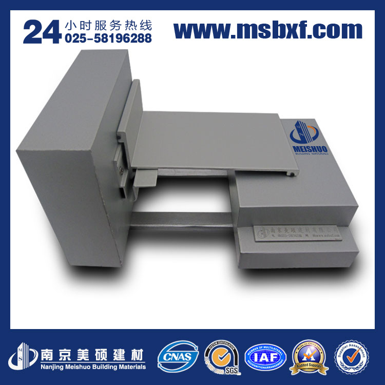 22地面金屬卡鎖型 MSN-QDK