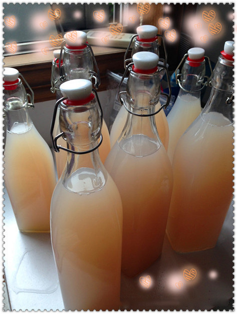 【爱酵素】香蕉柠檬黑枸杞酵素制作_ecopara