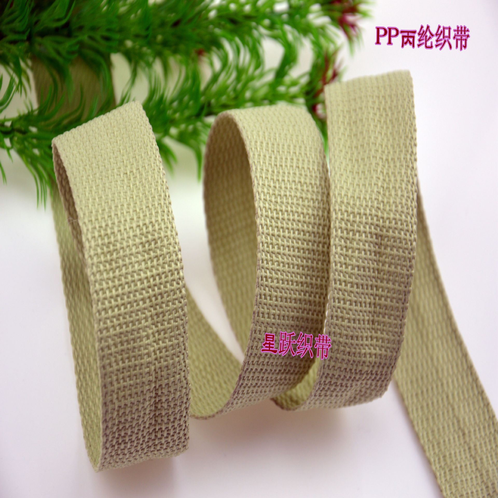 DSC_0080_副本_副本