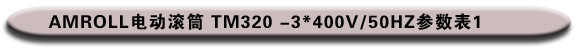 AMROLL电动滚筒 TM320具体参数表1