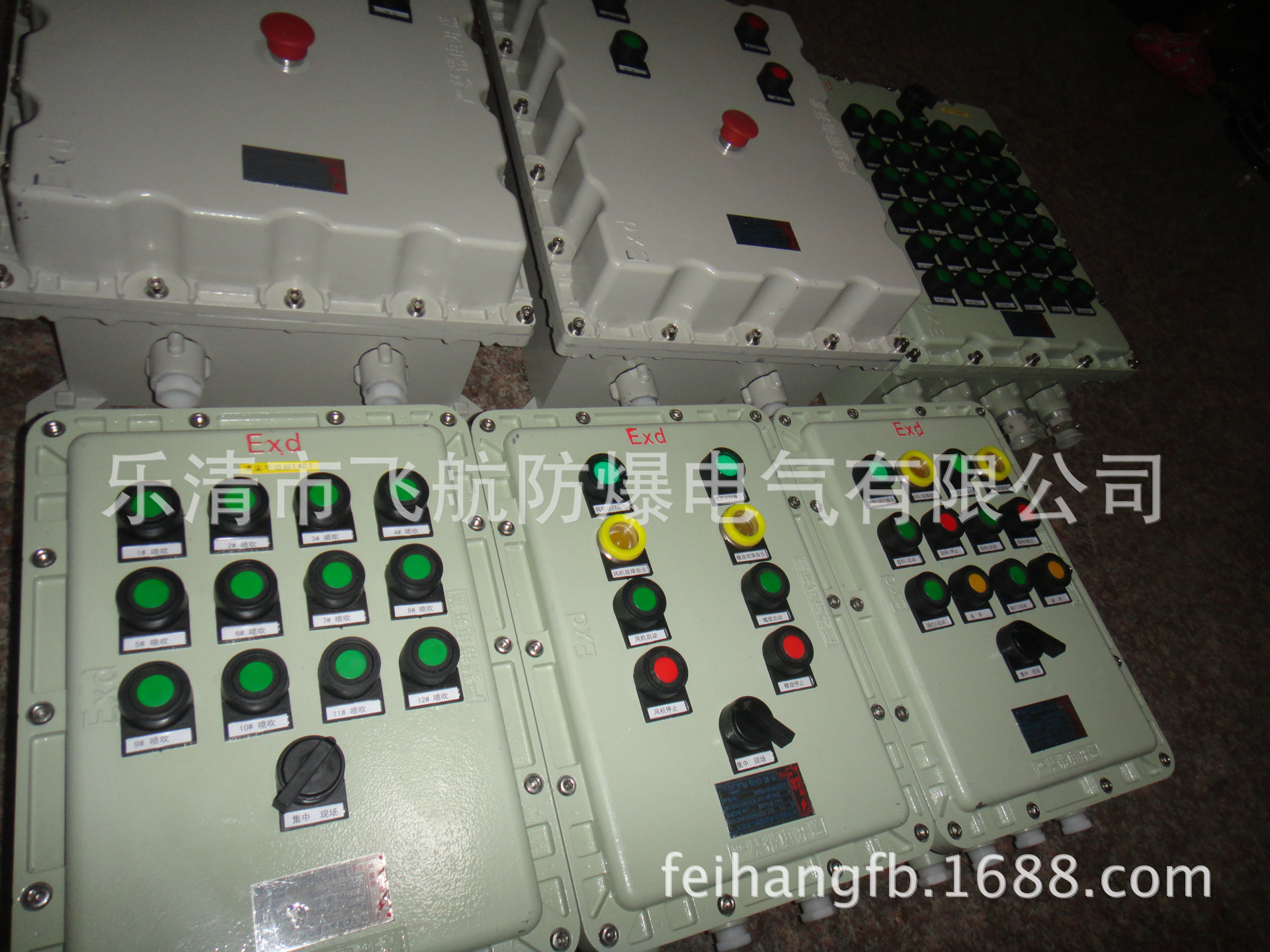 DSC04703