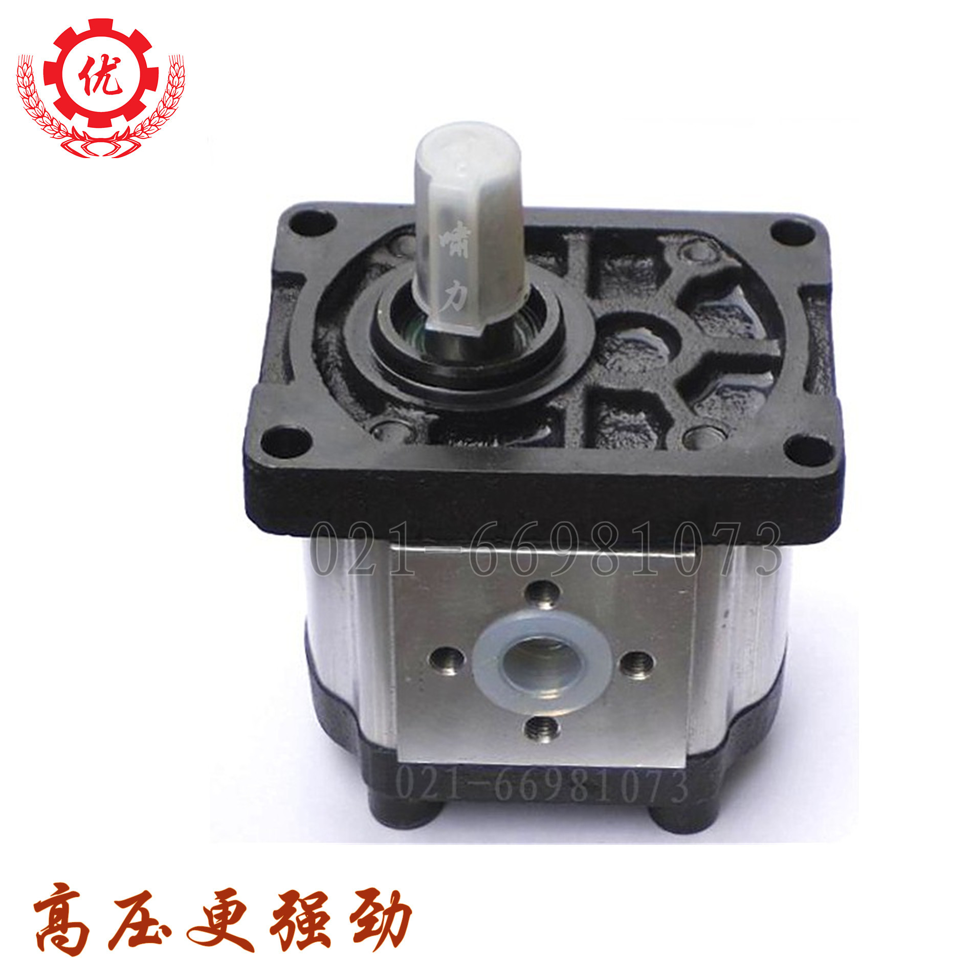 上海大众齿轮泵CBTt-F320齿轮泵