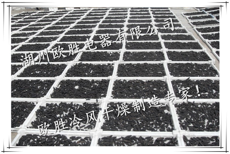 1416514237_1223503324