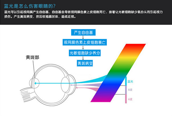 防蓝光膜1