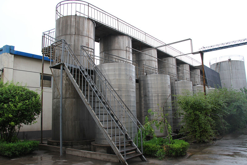 冷榨植物油 亞麻籽油  東方橄欖油