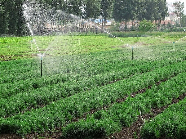 农业节水设备大棚菜苗喷淋灌溉全自动喷淋设备