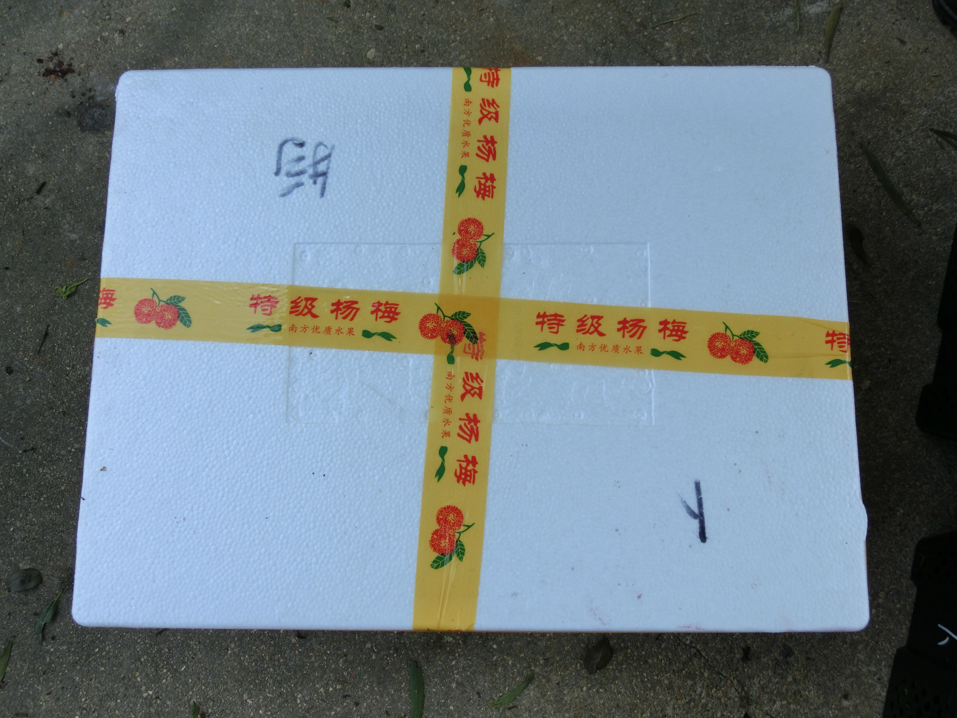 CIMG0040