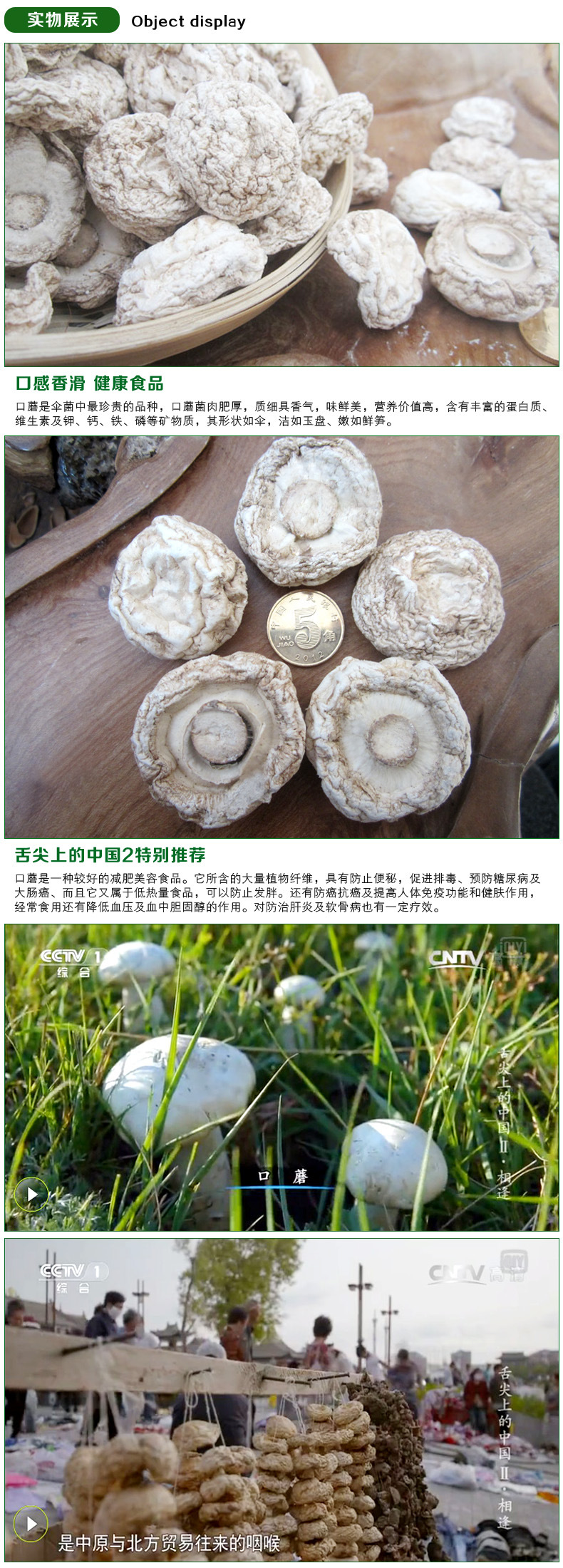 舌尖2 口蘑张家口特产 小白蘑菇无根野生草原白蘑菇