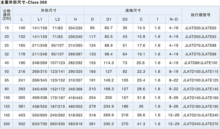 主要外形尺寸-Class300