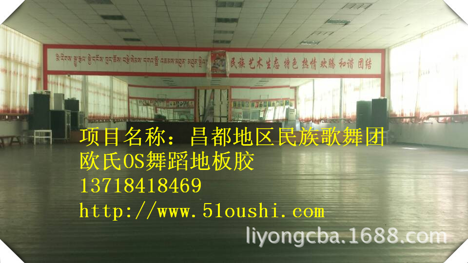 昌都地区民族歌舞团_副本