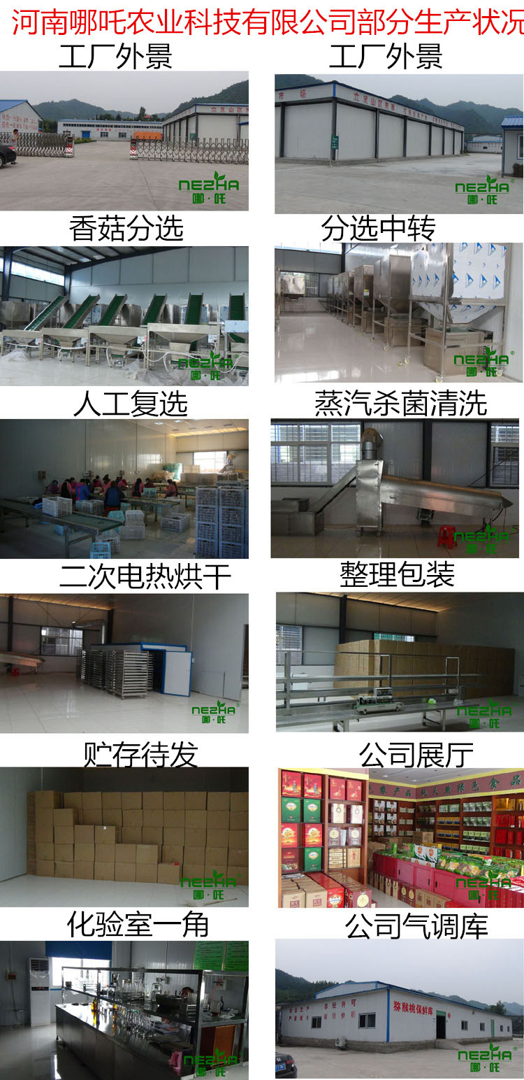 河南哪吒農(nóng)業(yè)科技有限公司生產(chǎn)狀況