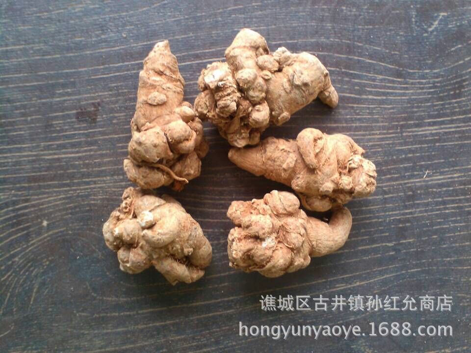 三七图片