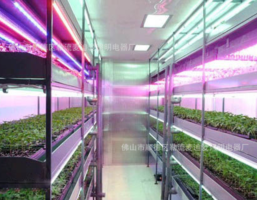 bba1cd11728b4710fc2eb37ac1cec3