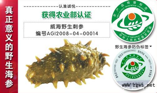威海好海图片加盟您的欢迎无加盟费-照片蒜蓉海参味的火腿肠图片