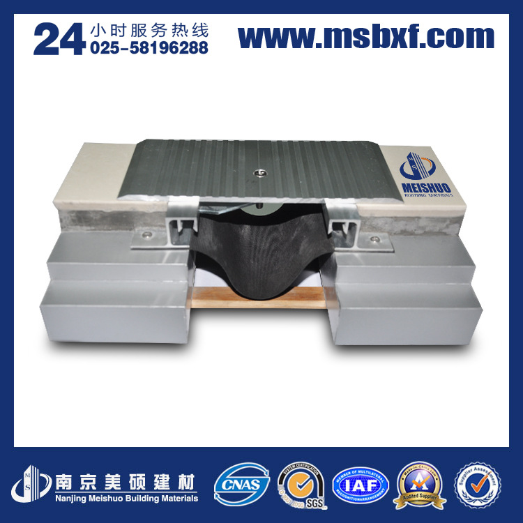 67地面金屬蓋板型MSDG