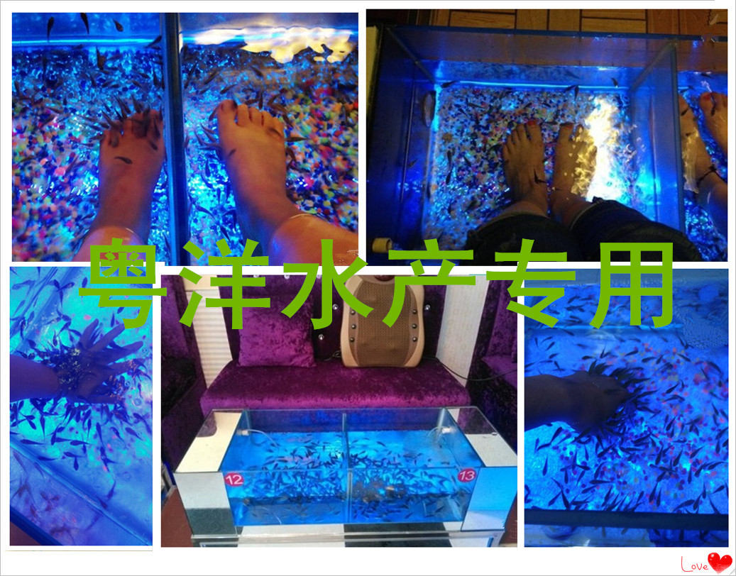 QQ图片20140501120615_副本