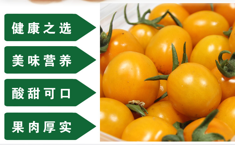 绿秾 新鲜水果蔬菜 黄圣女果.