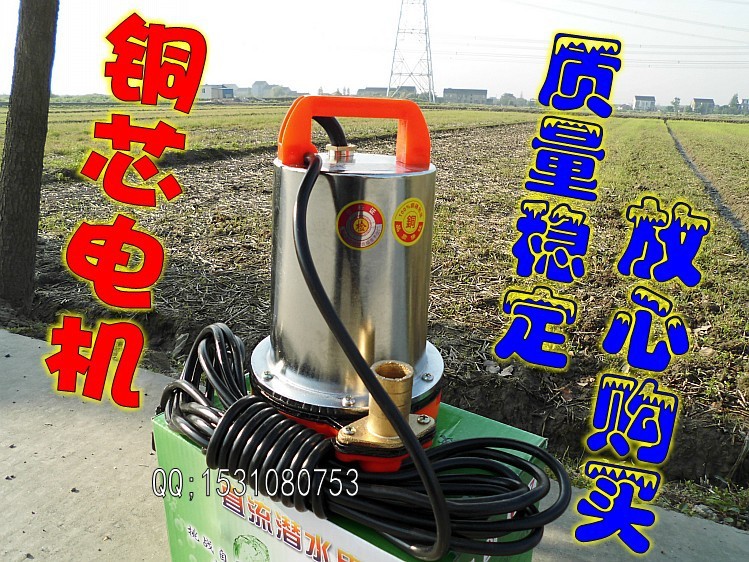 电动车家用农用直流水泵12v24v48v 高扬程电瓶潜水泵抽水灌溉浇菜