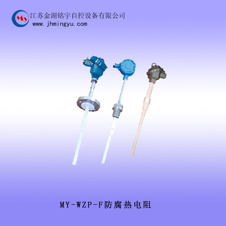 WZP-F防腐熱電阻