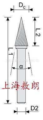 SKM-1