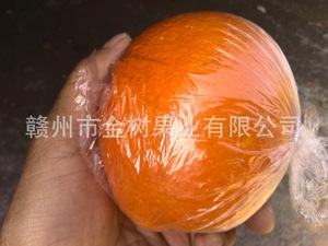 【安远脐橙】安远脐橙价格\/图片_安远脐橙批发