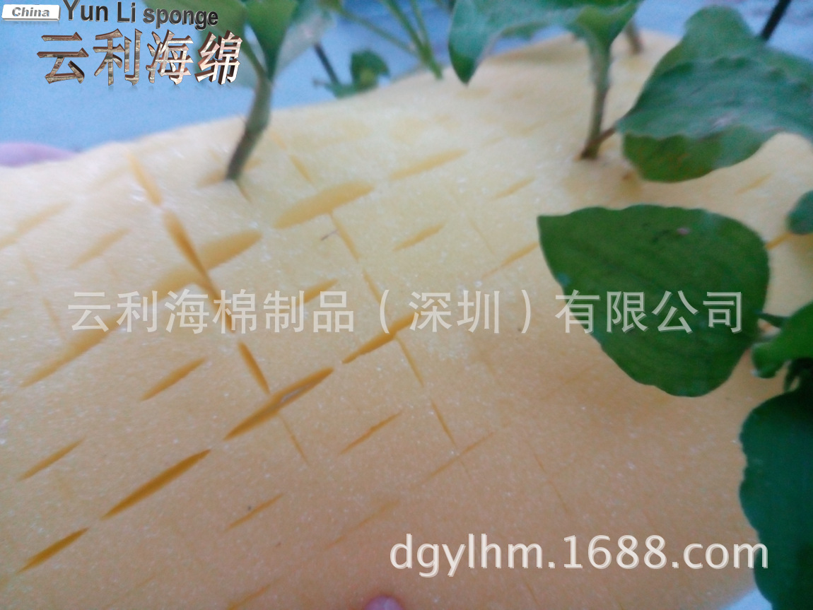 IMG_20140804_190239
