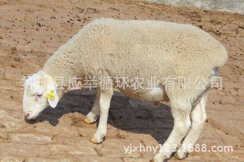 调整大小 IMG_4190