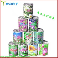 百家乐官网链接元宵节游园乐：香山公园灯谜花展喜迎春