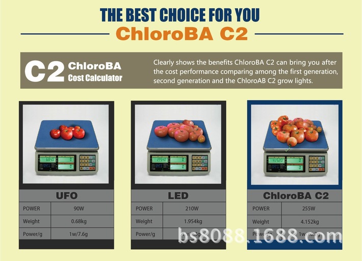 ChloroBA 03