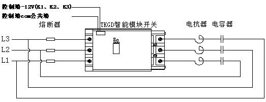 tkgd系列动态补偿投切开关,接线示图" 三相补偿接线图 "